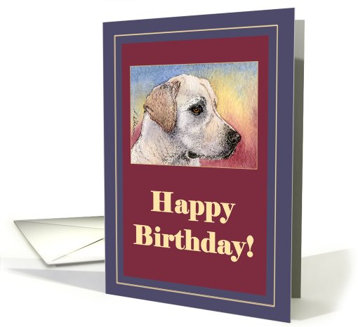 happy birthday, labrador, card (431651)