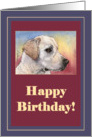 happy birthday, labrador, card