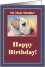 happy birthday, brother, labrador, card