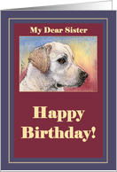 happy birthday, sister, labrador, card