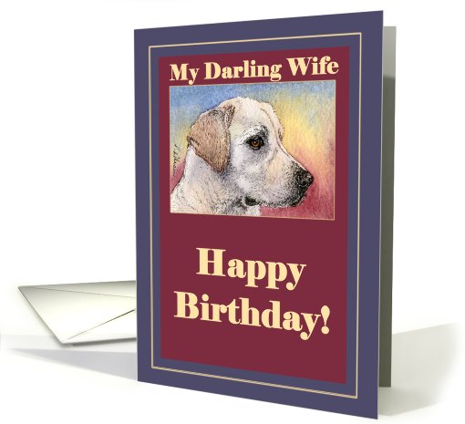 happy birthday, wife, labrador, card (431664)