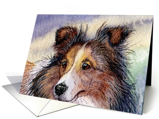 Blank card for your own greeting, dog, sheltie, card (471570)