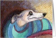 Blank card for your own greeting, dog, whippet, greyhound, card