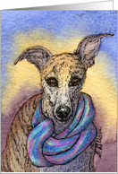 Blank card for your own greeting, dog, whippet, greyhound, card