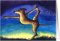 Blank card for your own greeting, dog, whippet, greyhound, card