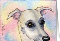 Blank card for your own greeting, dog, whippet, greyhound, card