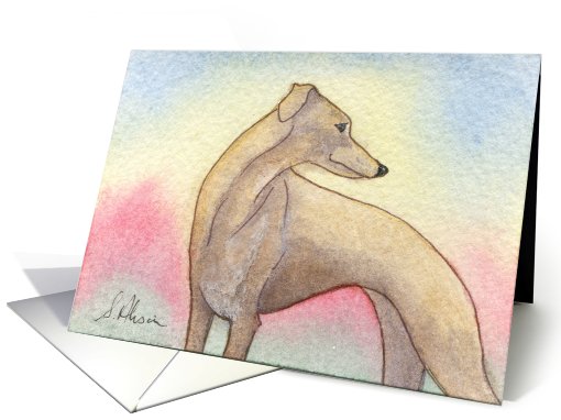 Blank card for your own greeting, dog, whippet, greyhound, card