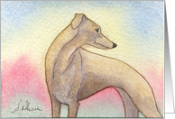 Blank card for your own greeting, dog, whippet, greyhound, card