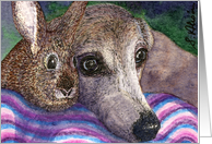 Blank card for your own greeting, dog, whippet, greyhound, rabbit, card