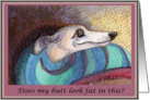 Plain for your own greeting, dog, whippet, greyhound, card