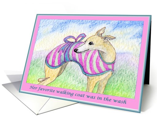 Plain for your own greeting, dog, whippet, greyhound, card (472864)