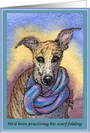 Plain for your own greeting, dog, whippet, greyhound, card