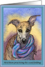 Plain for your own greeting, dog, whippet, greyhound, card