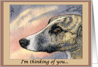 Thinking of you, dog, greyhound, whippet, card