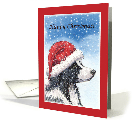 Christmas card, dog, Border Collie card (484522)