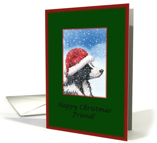 Christmas card, Friend, dog, Border Collie card (484581)
