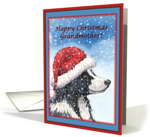 Christmas card, Grandmother, dog, Border Collie card (484595)