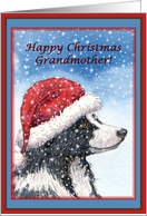 Christmas card, Grandmother, dog, Border Collie card