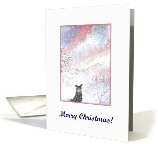 Christmas card, dog, Border Collie card (485023)