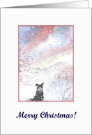 Christmas card, dog, Border Collie card