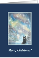 merry christmas, paper cards, dog, puppy, stars, card