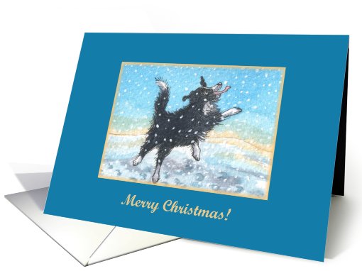 merry christmas, paper cards, dog, snow, card (488691)