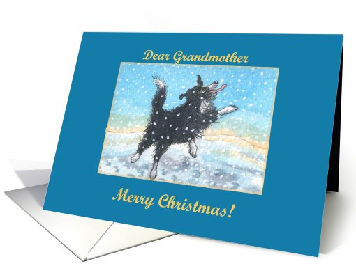 merry christmas, paper cards, dog, snow, grandmother, card (488737)
