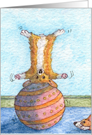 blank card, notecard, paper cards, dog, Corgi, card