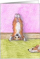 blank card, notecard, paper cards, dog, Corgi, card