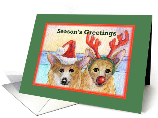 season's greetings, paper card, dog, card (506238)