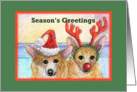 season’s greetings, paper card, dog, card
