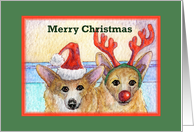 merry christmas, paper card, dog, card