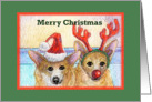 merry christmas, paper card, dog, card