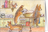 blank card, corgi, dog, card