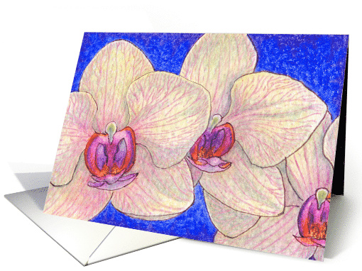 orchid, flower, card (516562)