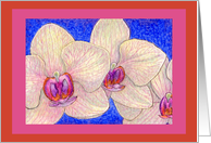 blank card, orchid, flower, card