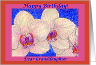 birthday card, orchid, flower, granddaughter, card