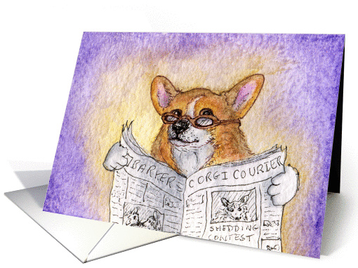 corgi reading newspaper, dog, card (518906)