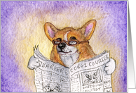 corgi reading newspaper, dog, card