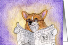 corgi reading newspaper, dog, card