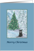 merry christmas, Border Collie, Christmas tree, card