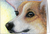 blank card, Welsh corgi, dog, card