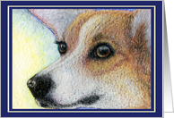 blank card, Welsh corgi, dog, card