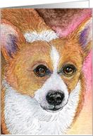 blank card, corgi, card