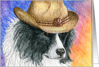 blank card, border collie, dog, card