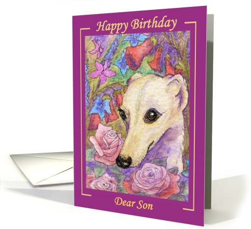 birthday card, whippet, dog, son, card (565145)