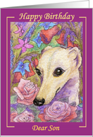 birthday card, whippet, dog, son, card