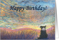 birthday card, border collie, dog, card