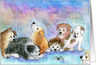 blank card, puppies, spider, card