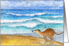 blank card, whippet, beach, card